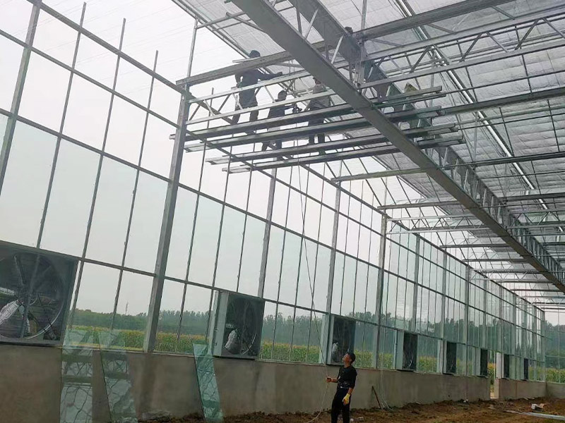 玻璃溫室使用防蟲網時要注意哪些事項